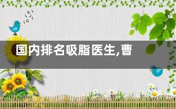 国内排名吸脂医生,曹孟君|冯斌|王明利|蒲小兵|王世虎,这几位都是实力靠前的吸脂医生